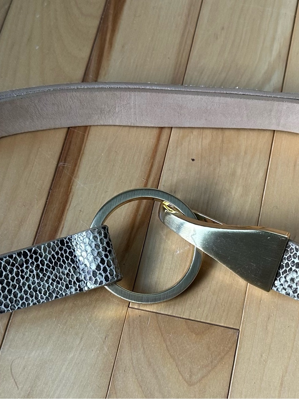 Holt Renfrew Women's Snake-Print Leather Belt with Gold Ring Accent - Adjustable